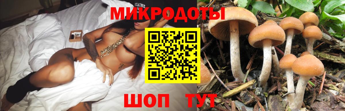 Псилоцибиновые грибы Psilocybine cubensis Лабинск